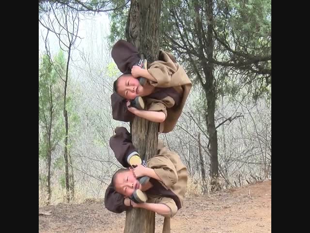 Шаолиньские монахи провинции Хенань всемирно известны своей сверхчеловеческой гибкостью и долговечностью