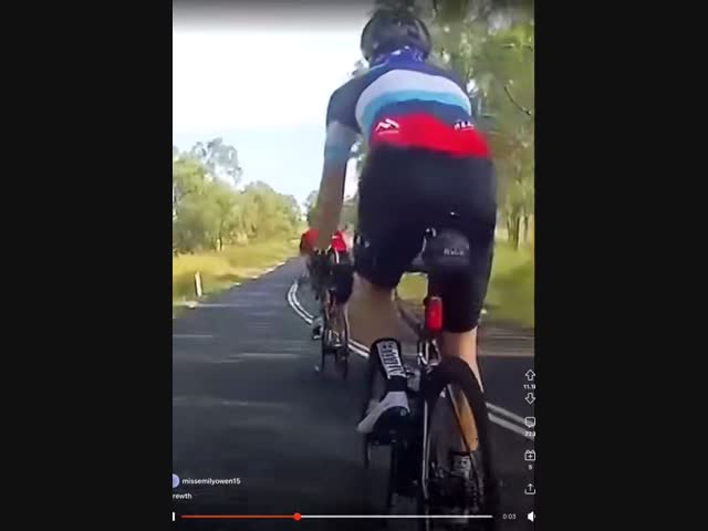 Это моя территория, человек!