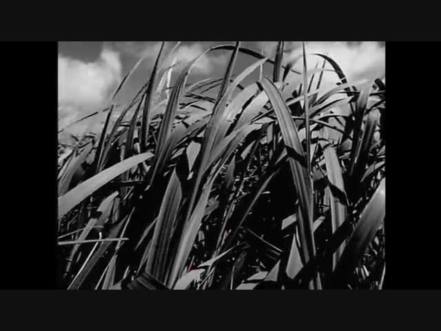 Ностальгия. Black - Wonderful Life (Official Video)