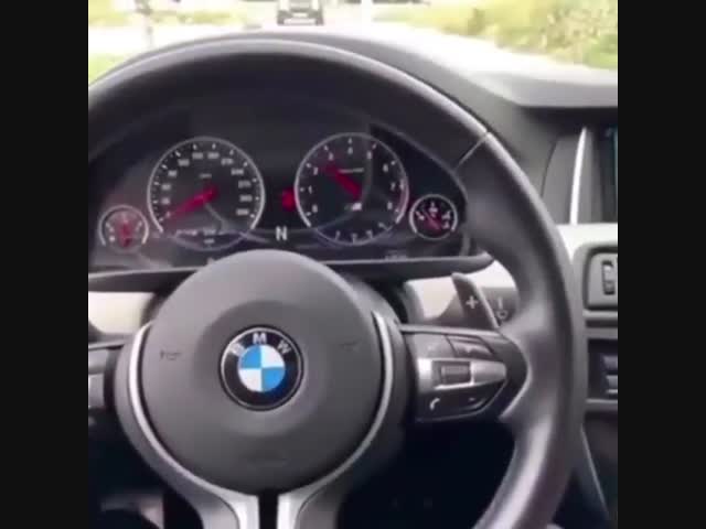 Львёнок и автомобиль