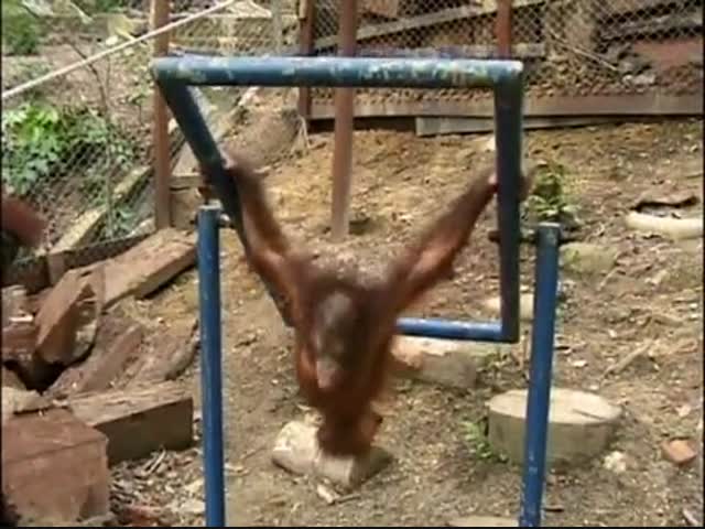 Бедный малыш