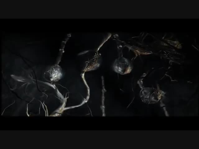 Танцы минус. Цветут цветы.