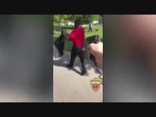 BLM не прошел