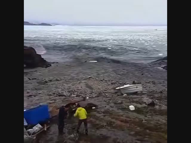 Цунами в Гренландии