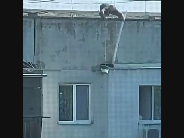 Спасение кота в Новороссийске