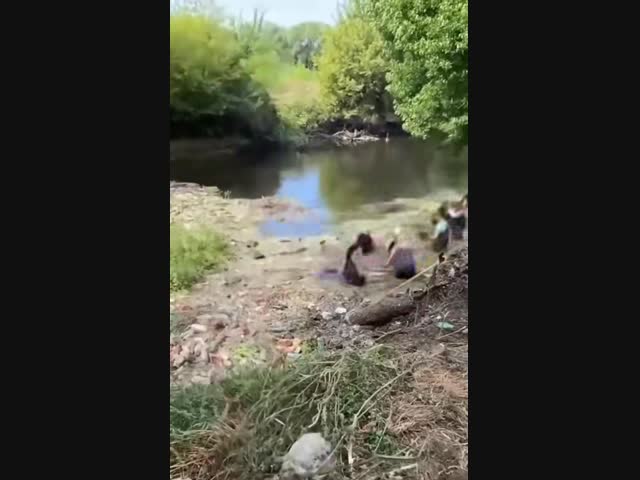 Очистка реки Уды
