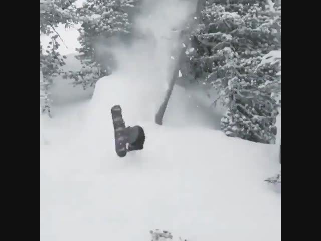 В лесу раздавался топор дровосека