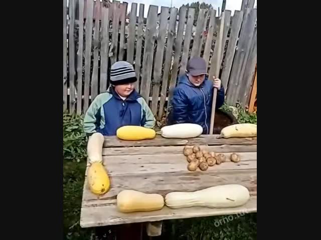 Деревенский бильярд