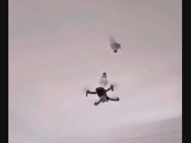 Когда потолки высокие, а стремянки нет