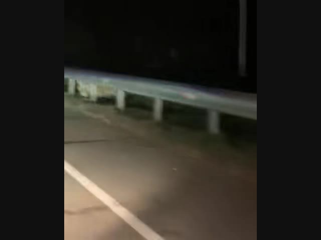 Уличная кошечка