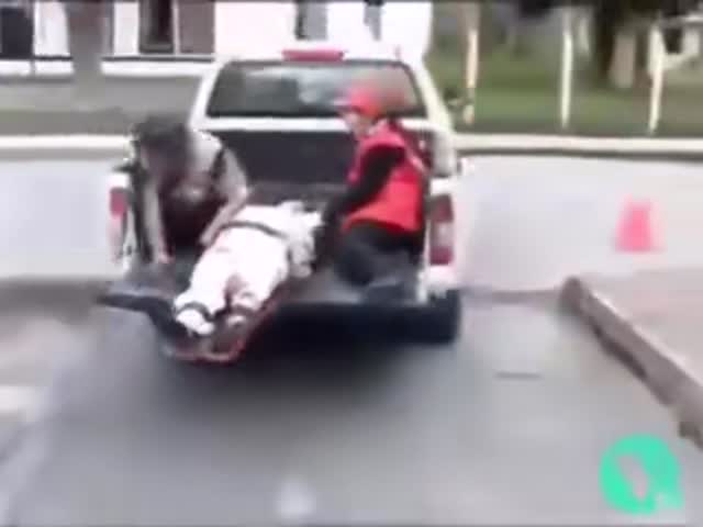 Случаи с медиками