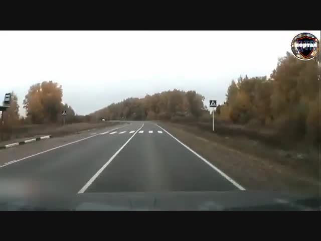 Автоледи пошла на обгон_ момент жёсткого ДТП через сплошную в Суздальском районе