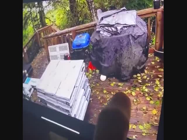 Последняя капля