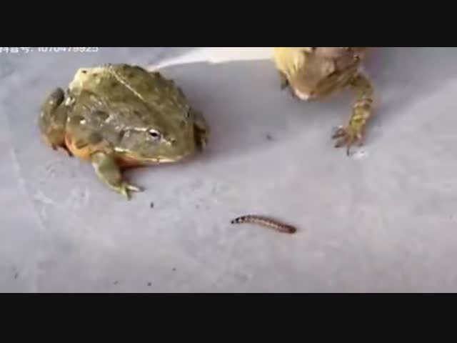 Короткий язык