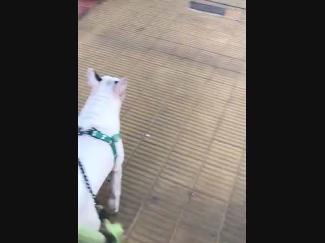 Это ж надо так опозориться...