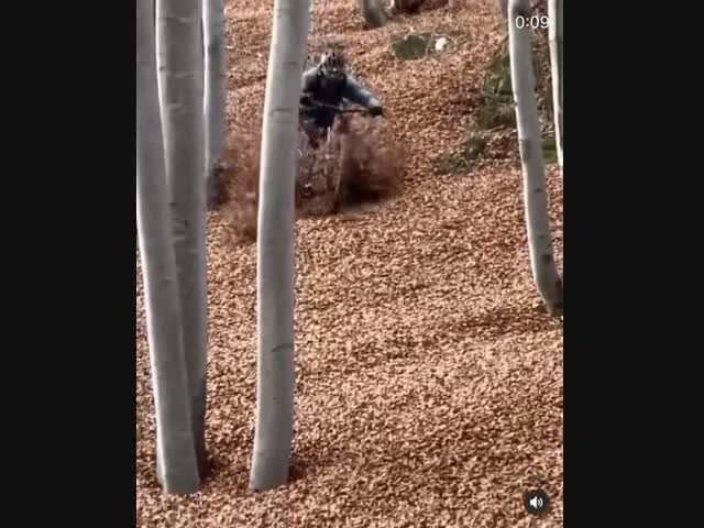 Осенняя поездка