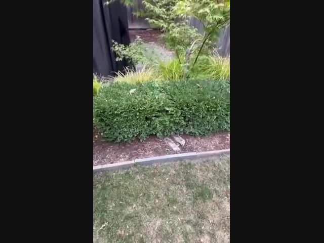 Хороший камуфляж