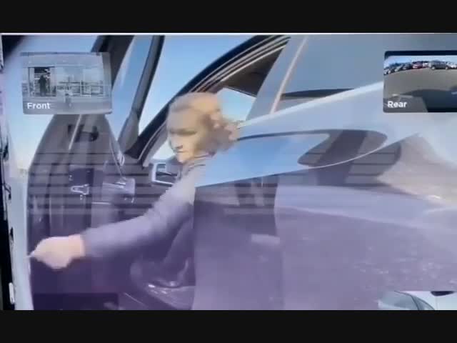 Попалась, которая царапалсь!