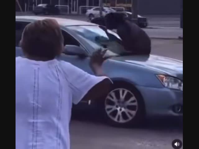 Какие вещества нужно употреблять, чтобы устроить такой концерт?