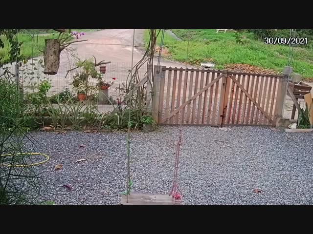 Прокатились с ветерком