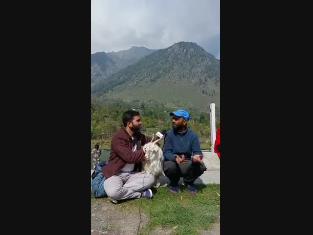 Козел-диверсант