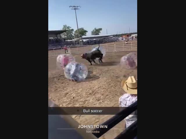 Безопасная коррида