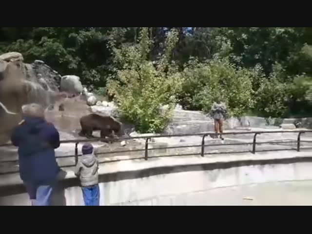 Медведь в шоке от посетителя