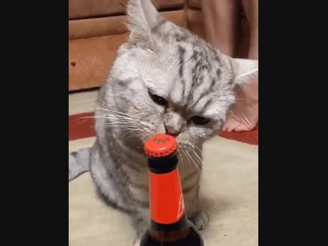 По пивасику?