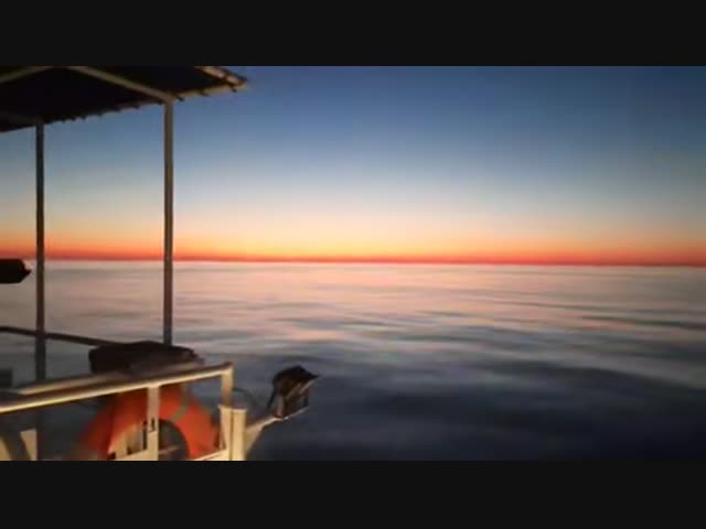 День и ночь в одном кадре