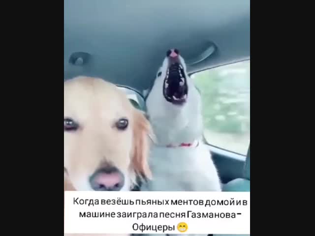 Душевная песня