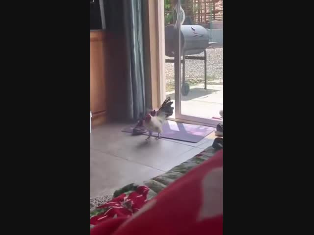 Идеальный будильник