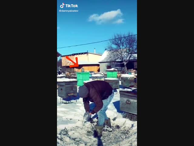 Неожиданный финал