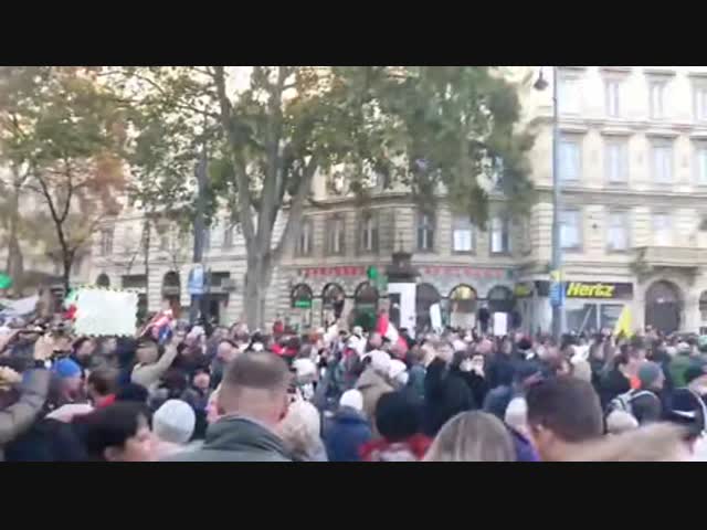 Австрийцы протестуют против коронавирусного фашизма