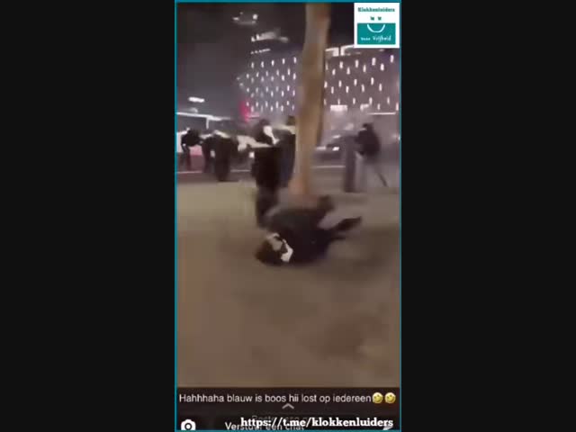 Протесты в Нидерландах