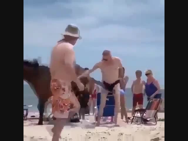 Не надо было трогать дикую лошадку на пляже