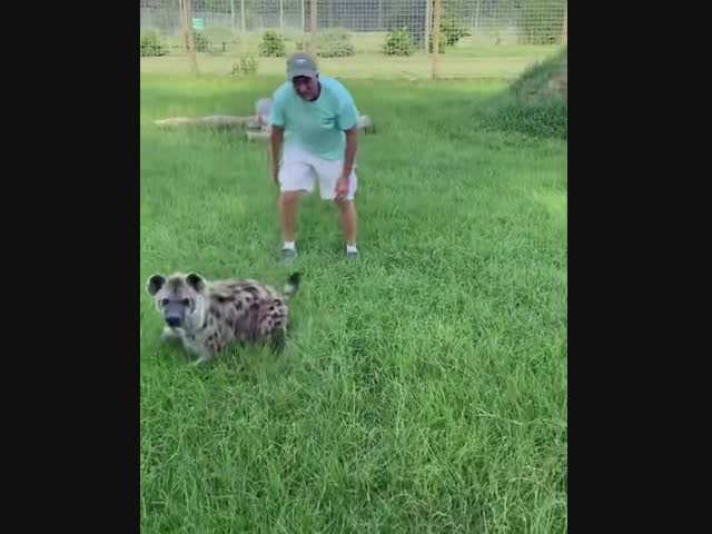 Кто бы мог подумать!