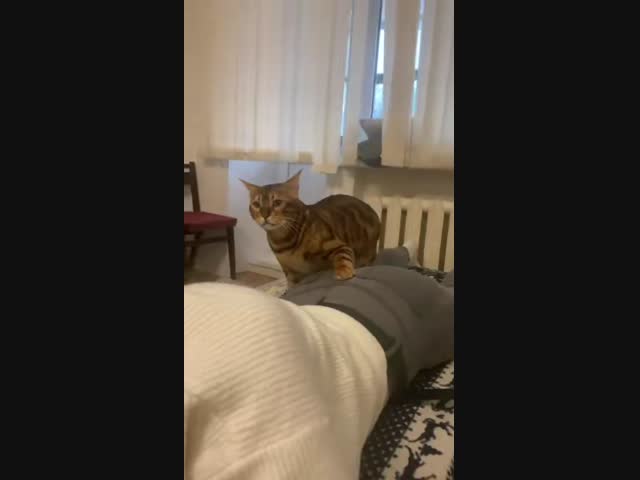 ЗЛОБНАЯ ТВАРЮГА