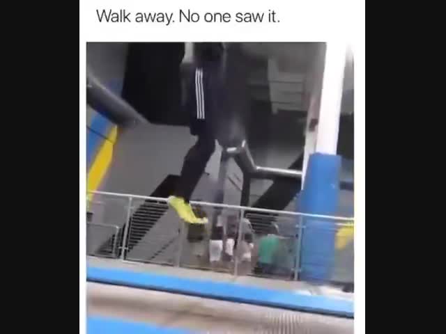 Никто ничего не видел?