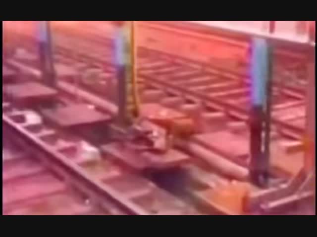 Обезьяна спасла своего сородича, пострадавшего от удара током