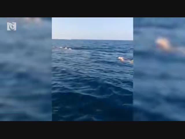 Водоплавающий