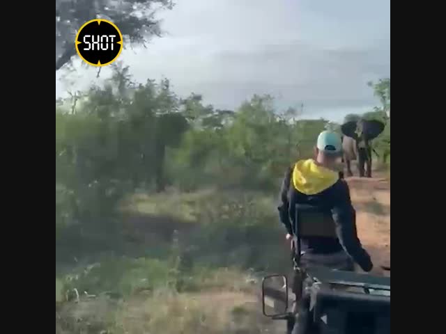 Слон опрокинул джип с туристами
