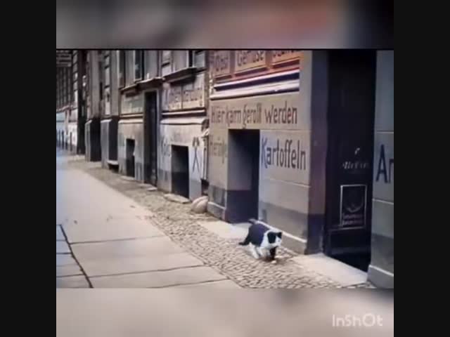 Берлин, 1927 год