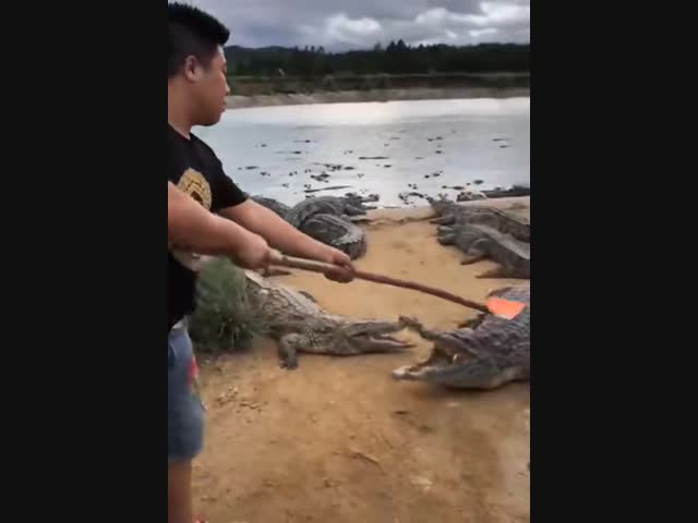 - Пацаны, а ну проваливайте в воду!