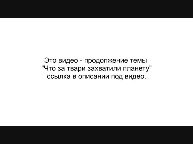 Кто виноват и что делать?