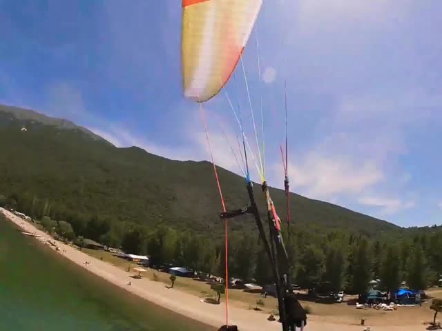 Прямо в дерево