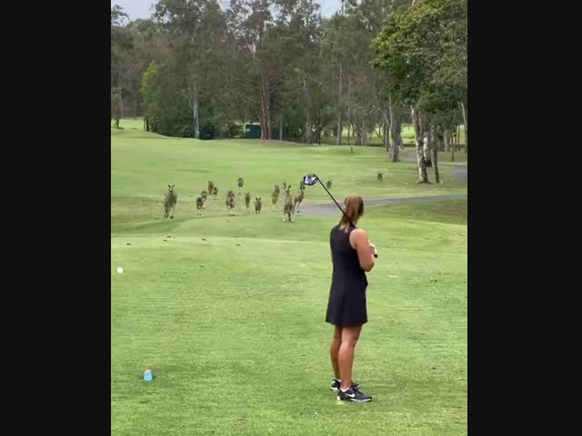 Обычный день в Австралии