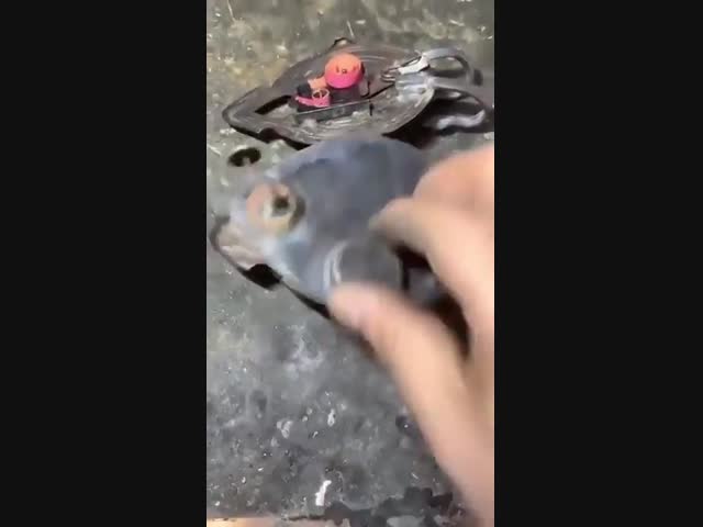 Технология, которой 150 лет