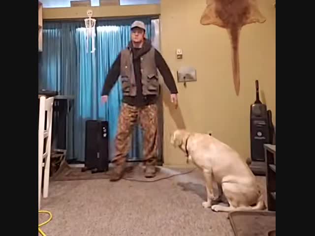 А ведь скоро Новый Год