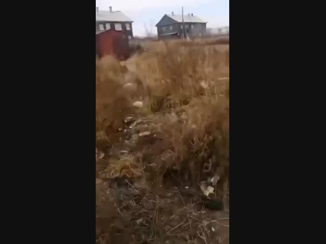 Путин нас защитит