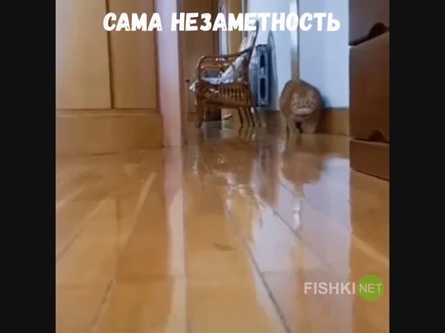 Подкрался незаметно.